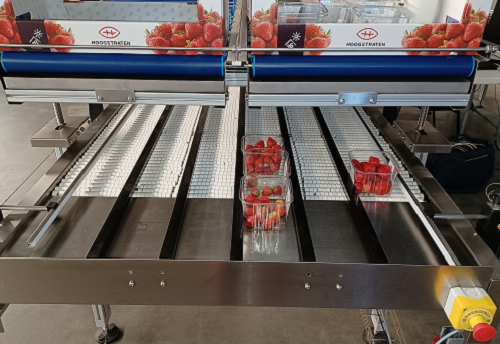 FDA CONVEYOR WITH SLIP_TORQUE SYSTEM